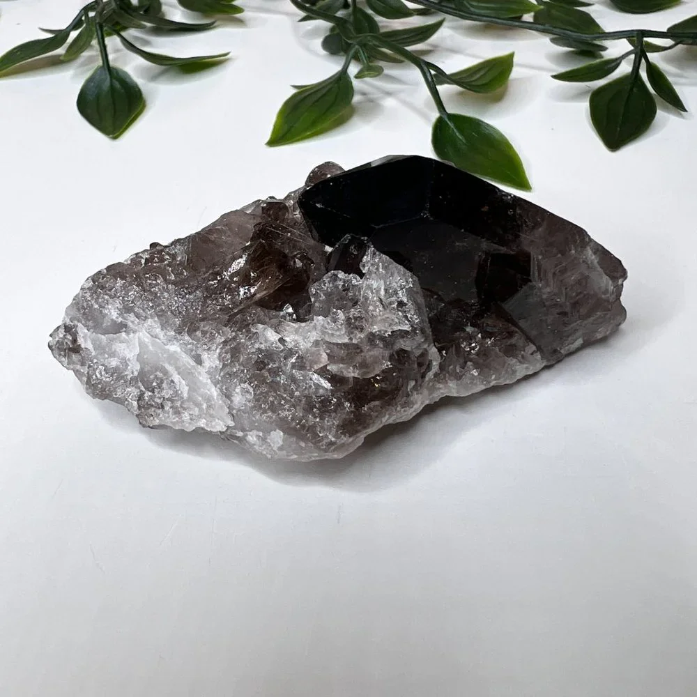 Smoky Quartz Crystal Points Cluster - Smoky Quartz Point Crystal Cluster - Picture 3 of 11